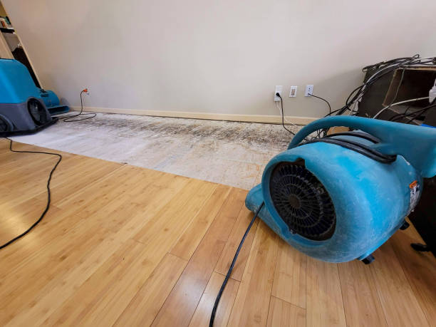 Professional Burst Pipe Water Damage technician working in Brentwood, PA